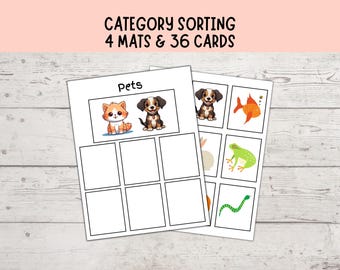 Clasificación de categorías 1, Terapia del habla, Clasificación de objetos en categorías, Visualizaciones para el autismo, Actividad de emparejamiento Montessori