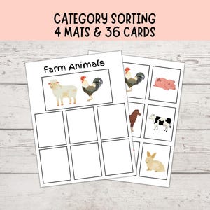 Category Sorting 3, Speech Therapy, Sorting Objects Into Categories, Autism Visuals, Montessori Matching Activity