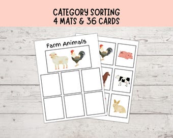 Category Sorting 3, Speech Therapy, Sorting Objects Into Categories, Autism Visuals, Montessori Matching Activity