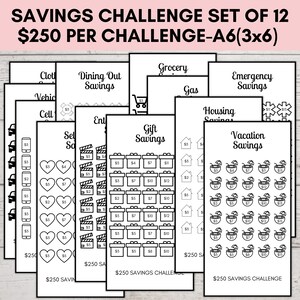 Savings Challenge Printable A6, Savings Challenge Bundle, A6 Sized Mini Savings Challenge Trackers, 250 Savings Challenge, Set of 12