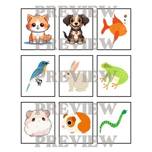 Category Sorting Bundle 1-5, Speech Therapy, Sorting Objects Into ...