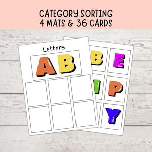 Category Sorting 4, Speech Therapy, Sorting Objects Into Categories, Autism Visuals, Montessori Matching Activity