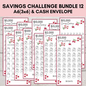 A6 Savings Challenge Printable, Savings Challenge Bundle, A6 Sized Mini Savings Challenge Trackers, Printable Savings Challenge, Set Of 12