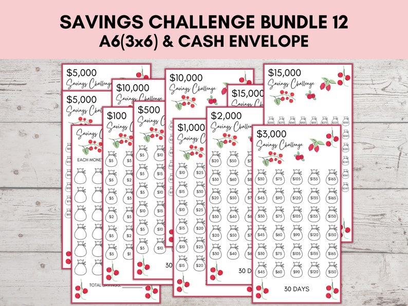 A6 Savings Challenge Printable, Savings Challenge Bundle, A6 Sized Mini ...