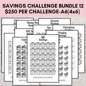 Savings Challenge Printable A6, Savings Challenge Bundle, A6 Sized Mini Savings Challenge Trackers, 250 Savings Challenge, Set of 12