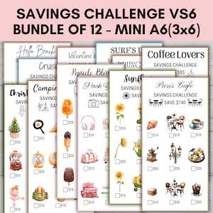 Low Income Savings Challenge, Mini Savings Challenge, A6 Saving Trackers, Budget Binder, Finance Planner, Savings Challenge Bundle of 12 VS6