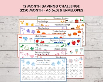 Monthly Savings Challenge Trackers, 250 Savings Challenge, A6 Mini Savings Challenge 6x3, 12 Months Savings Challenge, Cash Envelopes