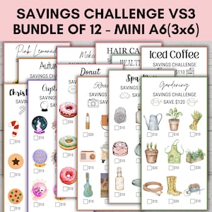 Mini Savings Challenge, Low Income Savings Challenge, A6 Saving Trackers, Budget Binder, Finance Planner, Savings Challenge Bundle of 12 VS3