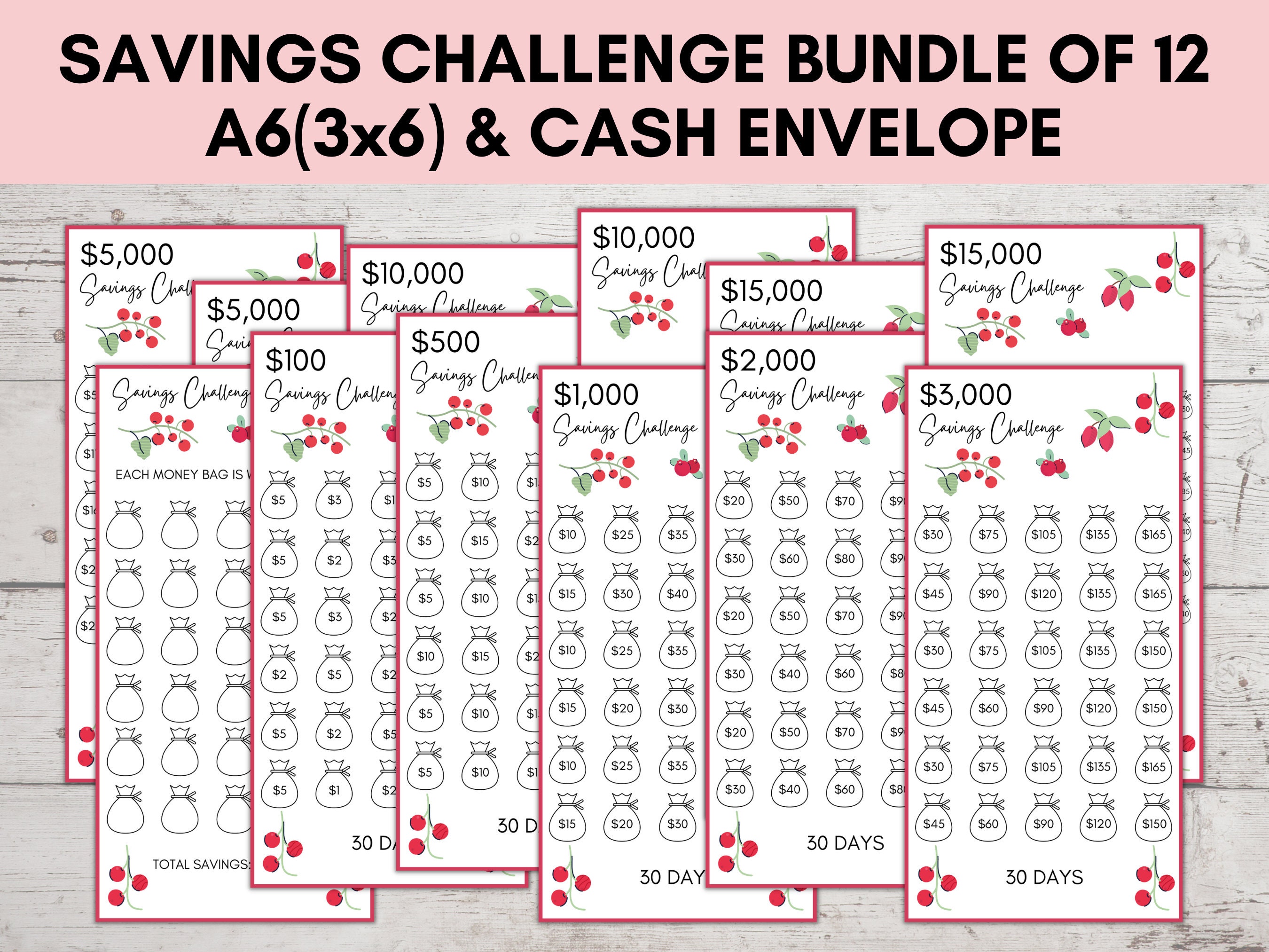 A6 Savings Challenge Printable Savings Challenge Bundle A6 - Etsy