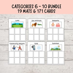 Category Sorting Bundle 6-10, Speech Therapy, Sorting Objects Into Categories, Autism Visuals, Montessori Matching Activity