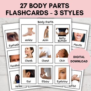Body Parts Cards, 27 Montessori Flashcards, Pre-School Cards, Rainbow Educational Printable Cards, Nonverbal Communication Autism Visuals
