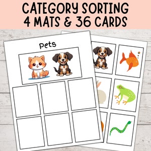 Category Sorting 1, Speech Therapy, Sorting Objects Into Categories, Autism Visuals, Montessori Matching Activity