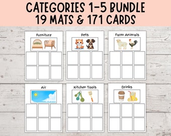 Category Sorting Bundle 1-5, Speech Therapy, Sorting Objects Into Categories, Autism Visuals, Montessori Matching Activity