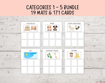Paquete de clasificación de categorías 1-5, Terapia del habla, Clasificación de objetos por categorías, Materiales visuales para el autismo, Actividad de emparejamiento Montessori