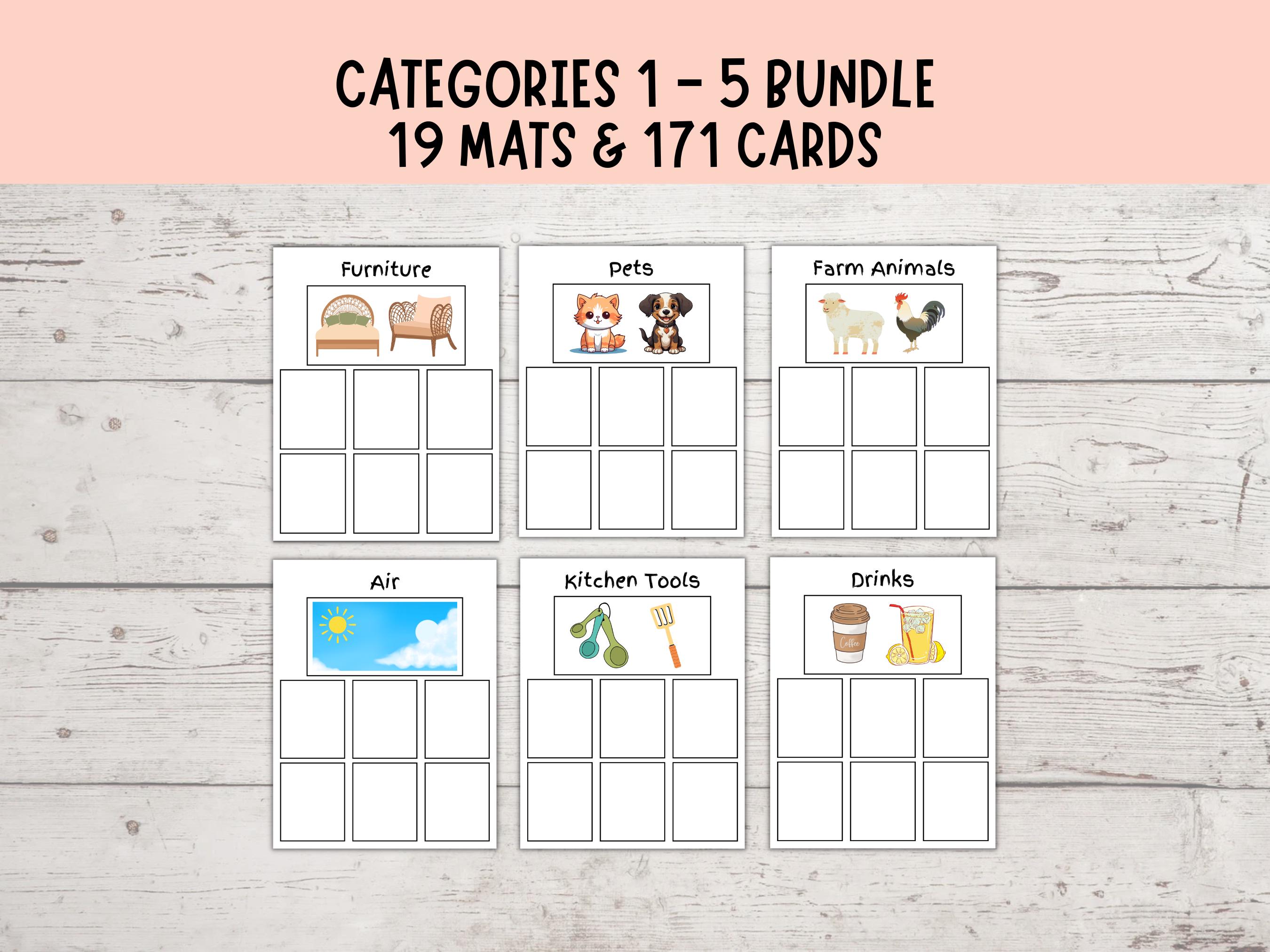 Category Sorting Bundle 1-5, Speech Therapy, Sorting Objects Into ...