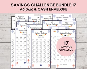 A6 Savings Challenge Printable, Savings Challenge Bundle, A6 Sized Mini Savings Challenge Trackers, Printable Savings Challenge, Set Of 17