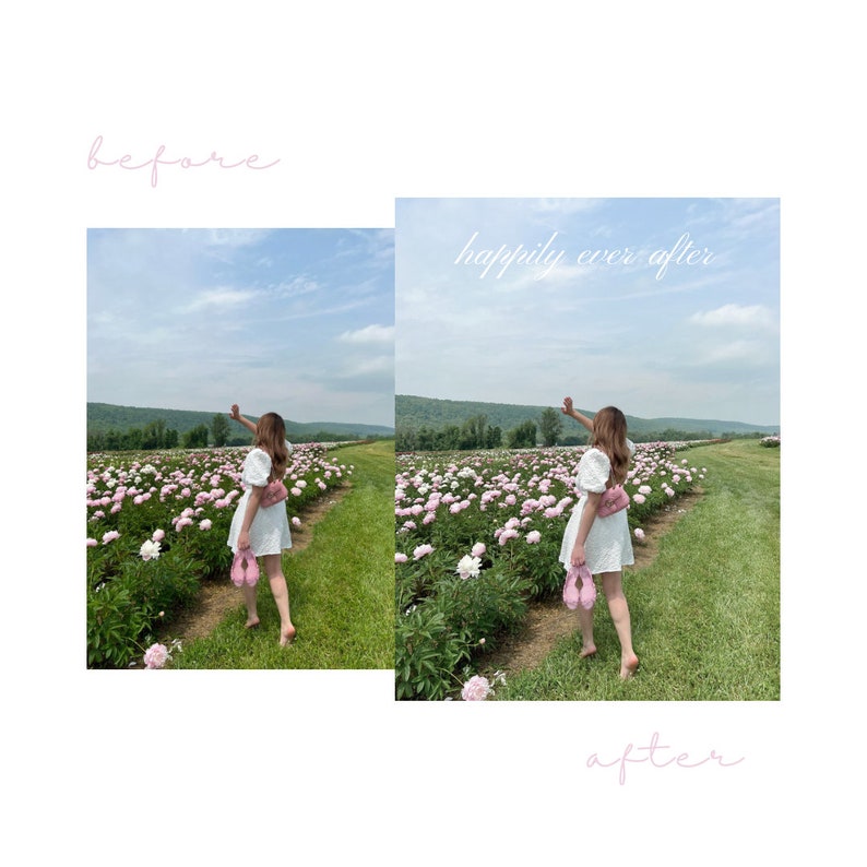 Puede incluir: Una mujer con un vestido blanco y un bolso rosa camina por un campo de peon&iacute;as rosas. El texto "happily ever after" est&aacute; escrito sobre la imagen.