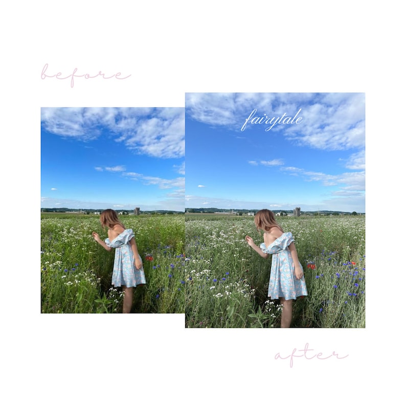 Puede incluir: Una mujer con un vestido floral azul claro se encuentra en un campo de flores silvestres. El cielo es azul con nubes blancas. El texto "fairytale" est&aacute; escrito en rosa sobre la imagen.