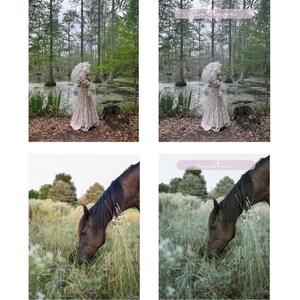 Op de afbeelding: Twee voor-en-na-beeldvergelijkingen. De eerste toont een vrouw in een witte jurk die een witte parasol vasthoudt in een moerassig bos. De tweede toont een bruin paard dat graast in een veld met hoog gras. Beide afbeeldingen tonen het verschil in kleur en toon na het toepassen van een filter.