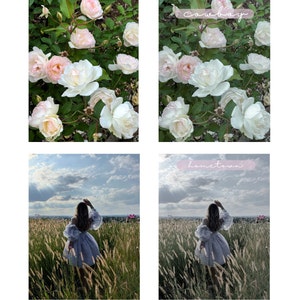Op de afbeelding: Twee voor- en nafoto's die het verschil in beeldbewerking laten zien. De eerste foto toont een struik met witte en roze rozen met groene bladeren. De tweede foto toont dezelfde struik met een toegepast filter, waardoor de kleuren levendiger en het beeld meer verzadigd worden. De tweede foto bevat ook het woord "cowboy" dat in roze tekst over de afbeelding staat. De derde foto toont een persoon in een witte jurk die door een veld met hoog gras loopt. De vierde foto toont dezelfde persoon met een toegepast filter, waardoor het beeld matter en de kleuren minder verzadigd worden. De vierde foto bevat ook het woord "thuisstad" dat in roze tekst over de afbeelding staat.