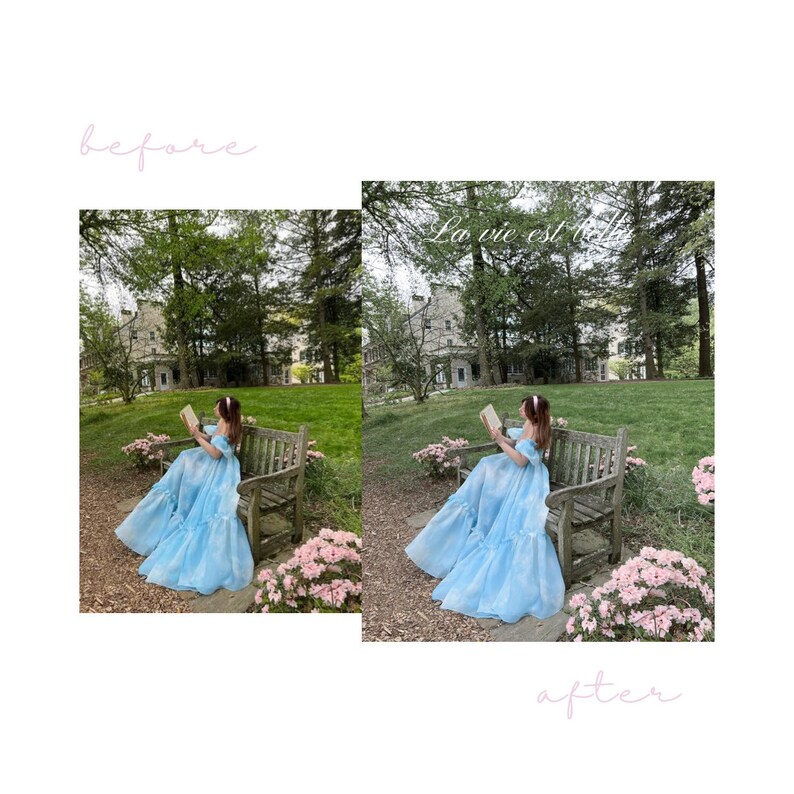 Puede incluir: Una mujer con un vestido azul claro se sienta en un banco de madera en un jard&iacute;n. Est&aacute; leyendo un libro y el texto "La vie est belle" es visible en el fondo.