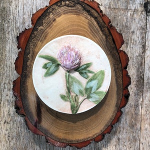 Purple Clover Plaster Cast on Wood