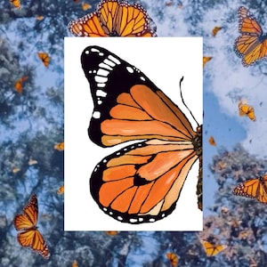 Monarch Butterfly (print/sticker)