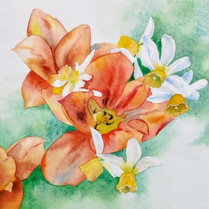 Fleurs du jardin,tulipes rouges et narcisses,peinture à l'aquarelle originale,œuvre d'art fait-main,fleurs du printemps,art mural floral. image 1