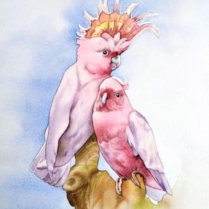 Bird couple painting, pink cockatoos, Australian animals, original watercolor, parrot wall art, exotic birds, handmade.