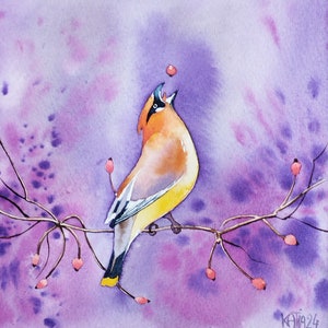 Peinture d'un oiseau jaseur des Cèdres,animal coloré des jardins et campagnes,aquarelle originale,art mural ornithologique, fait main.
