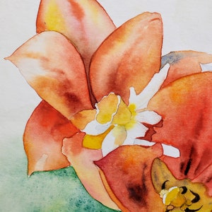 Fleurs du jardin,tulipes rouges et narcisses,peinture à l'aquarelle originale,œuvre d'art fait-main,fleurs du printemps,art mural floral. image 4