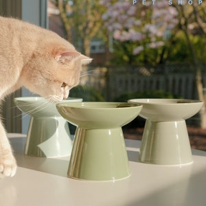 Binkies pet supply elevated cat bowl hotsell