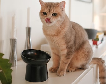 Elevated Ceramic Pet Food Bowl with Wide-Opening for Cats, Kitten, Puppies | Timeless Collection