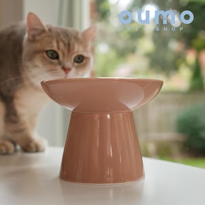 Petals Collection | Sunkissed Coral Sand Elevated Ceramic Pet Food Bowl for Cats Kitten Dog Puppy Handmade Wide Opening Feeder Pet Owner Gift