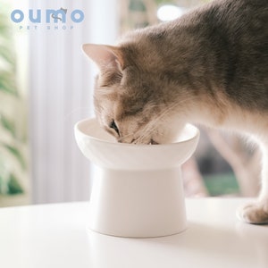 Holiday cat feeder clearance