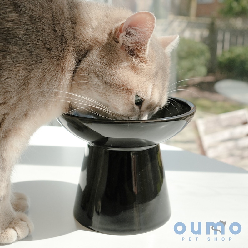 Petals Collection | Moonlight Black Elevated Ceramic Pet Food Bowl for Cats Kitten Dog Puppy Handmade Wide Opening Feeder Pet Owner Gift