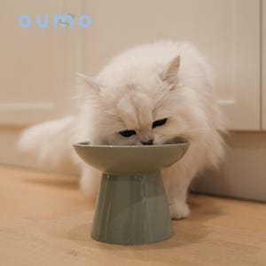 Petals Collection | Minty Green Elevated Ceramic Pet Food Bowl for Cats Kitten Dog Puppy Handmade Wide Opening Feeder Pet Owner Gift