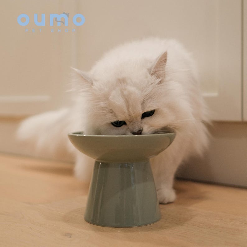 Petals Collection | Minty Green Elevated Ceramic Pet Food Bowl for Cats Kitten Dog Puppy Handmade Wide Opening Feeder Pet Owner Gift