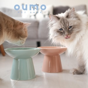 May include: Two ceramic pet food bowls on elevated stands. The bowl on the left is light blue and the bowl on the right is light pink. Two cats are eating from the bowls.