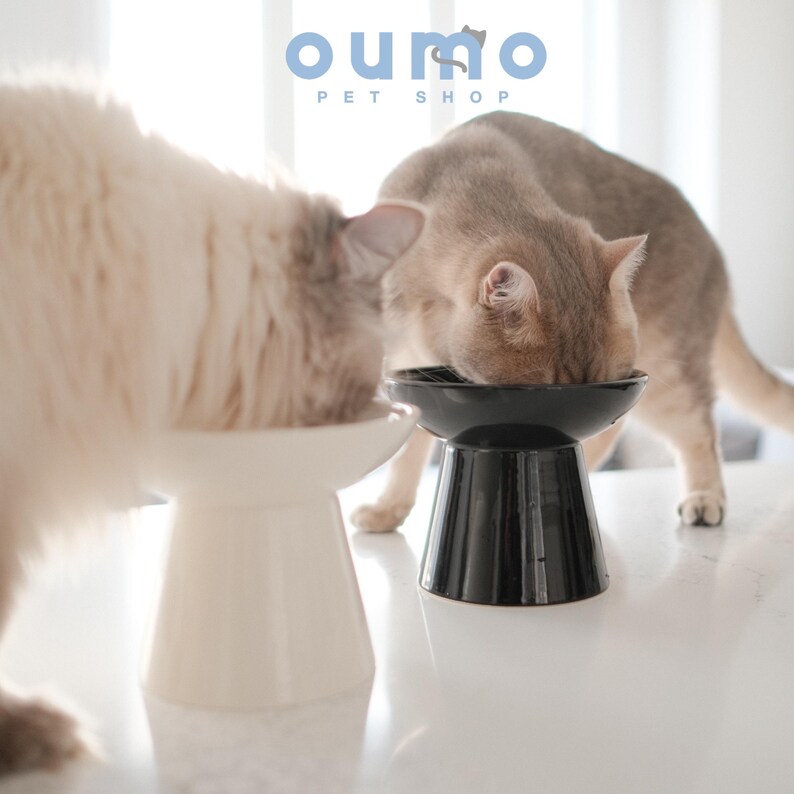 May include: Two cats eating from elevated ceramic pet bowls. One bowl is white and the other is black. The bowls are on a white surface. The text "oumo PET SHOP" is visible in the background.