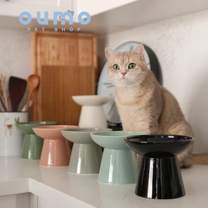 May include: Set of four elevated ceramic pet bowls in green, pink, light blue, and black. The bowls are on a white countertop with a cat sitting behind them.