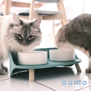 Chubby Pet Bowls Set | Ceramic Dinner Bowls for Cats Dogs | Elevated Pet Bowl for Comfort | Dishwasher Safe | Perfect Pet Gift, Modern Bowl