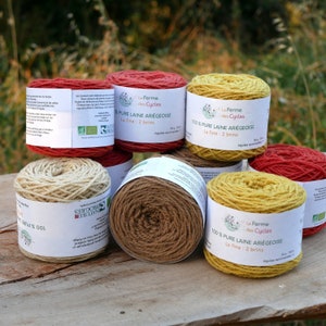 Ball of 100% pure local French natural organic sheep's wool, natural vegetable dye, 2 strands, needles 4, untreated superwash