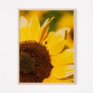 Sunflower Print, Modern Minimalist Poster, Sunflower Wall Art, Farmhouse Poster, Botanical Wall Art, Kitchen Wall Art, Printable Wall Decor