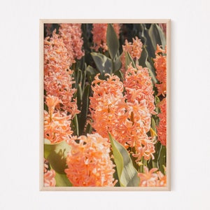Boho Printable Wall Art Hyacinth Flower Photography Living Room Wall Decor Glam Wall Art Living Room Wall Art Dorm Decor For Collage Girls