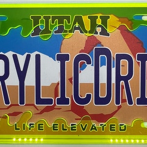 Slime License Plate Frame