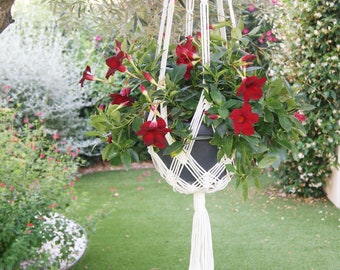 Suspension plant in macrame large diameter pot, indoor or outdoor, great length. Boho spirit.