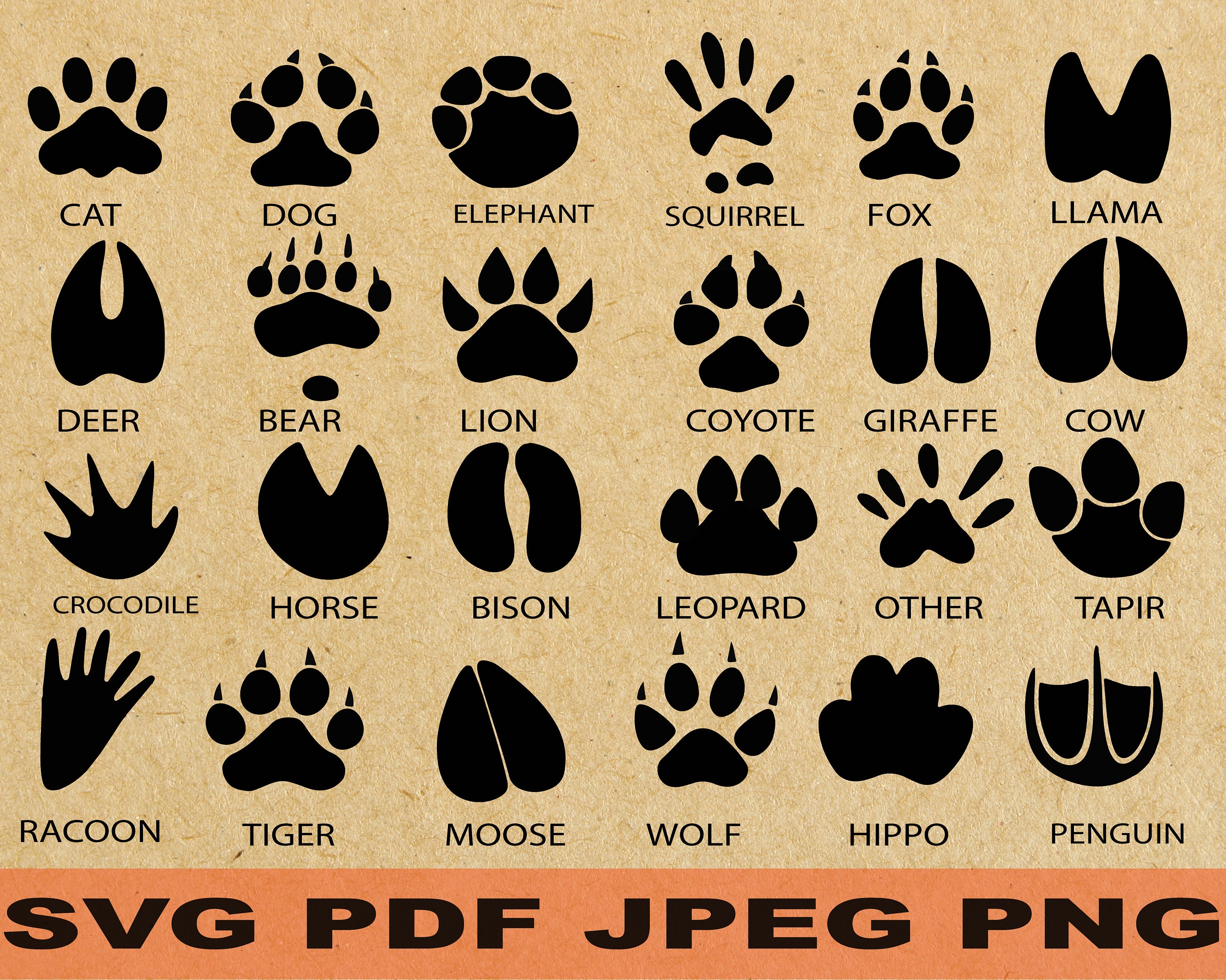 Cow Hoof Prints