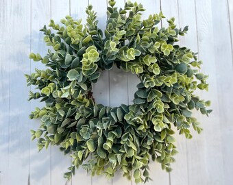 Classic Eucalyptus Greenery Wreath.All Season Natural Home Decor for Candle Rings, to Hang on Doors, Cabinets, Chairs, Walls, or as a Gift