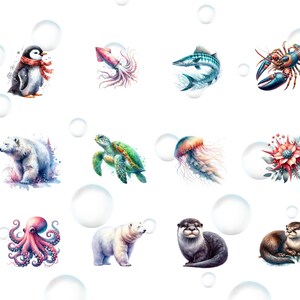 May include: Watercolor illustration of various animals and sea creatures, including a penguin, squid, fish, lobster, polar bear, turtle, jellyfish, flower, octopus, and otter. The illustrations are surrounded by white circles.